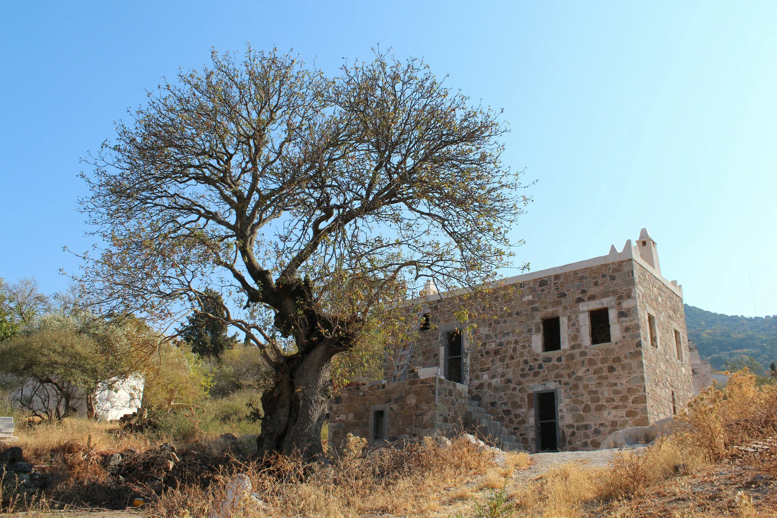 Yalıkavak Villa — Havuzlu Yaz Evi — Yalıkavak'ta eski taş ev: yerel duvar dokusu